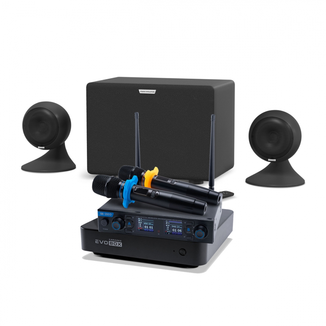 караоке-комплект EVOBOX + EvoSound Sphere 2.1 в Норильске