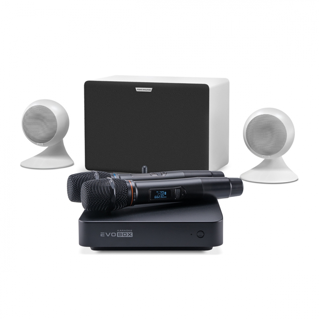 караоке-комплект EVOBOX Classic + EvoSound Sphere 2.1 в Норильске