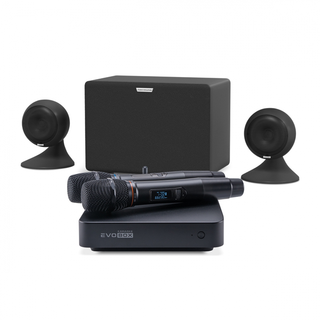 караоке-комплект EVOBOX Plus + EvoSound Sphere 2.1 в Норильске