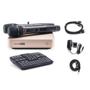 EVOBOX Classic караоке-система для дома в Норильске