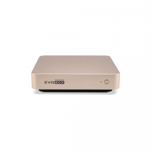 EVOBOX с микрофонами в Норильске